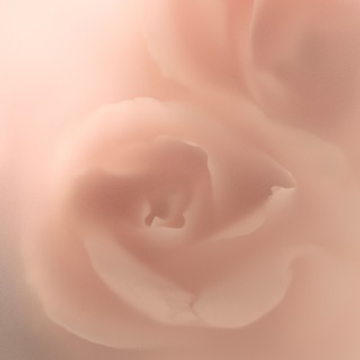 ELEMIS Pro-Collagen Rose Essence-In-Lotion - Зволожуюча есенція-лосьйон Про-Колаген з екстрактом Троянди, 100 мл