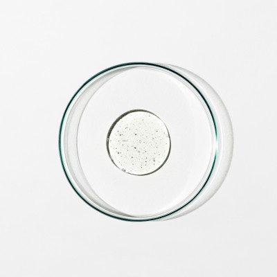 Grown Alchemist Invigorate Hand Wash - Освіжаючий гель для рук Солодкий Апельсин, Кедр, Шавлія, 500 мл